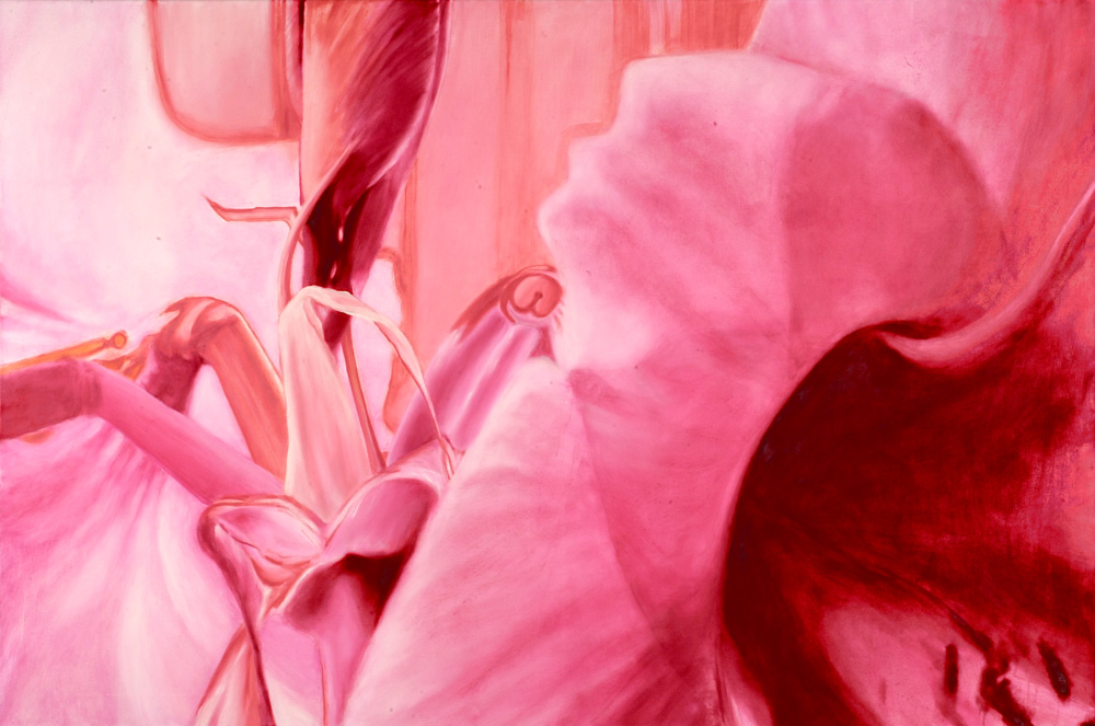 Groot monochroom schilderij van July Leesberg uit 2000, in roze en dieprode tinten, waarop een bijzondere uitsnede van een amaryllisknop en een -bloem te zien is. Getiteld: amaryllis 2, 120x180cm olieverf op katoen
